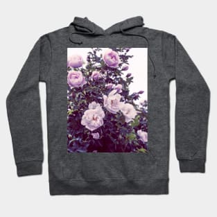 White Roses Romantic Photography Hoodie